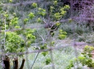 Tour of Duty S01 - Ep18 The Short Timer HD Watch