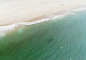 Drone Footage Captures Shark in Truro, Massachusetts