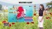 Heat continues, rain to bring slight relief to regions in the east and south _ 071618