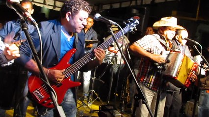 MUSICO POETA Y LOCO LISANDRO MEZA