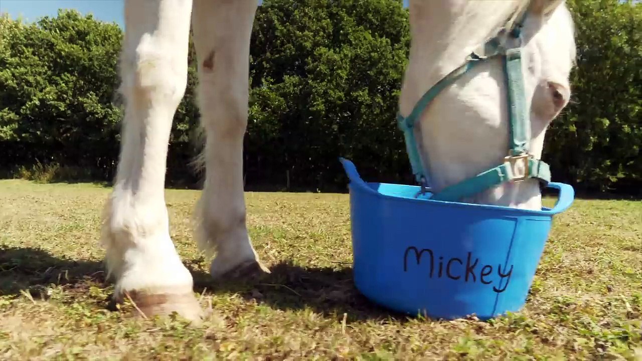 PONY CAMP VLOG 2 | Showjumping and TACK up with me | Day 3 | This Esme