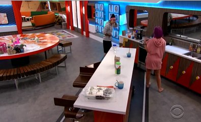 Big Brother Season 20 Episode 24 | S20, Ep24 - Video Dailymotion
