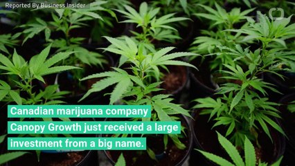 The World's Biggest Marijuana Stock Gets Huge Investment