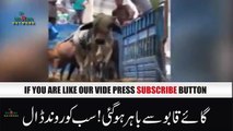 cow attack on people in karachi | Funny cow | Cow demolishing people of karachi 2018