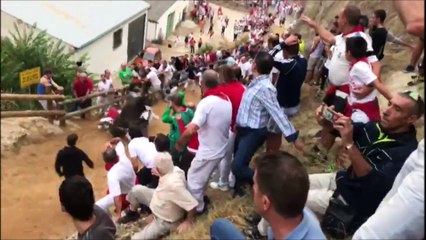 La brutal embestida y caída de una vaca en el quinto Pilón de Falces