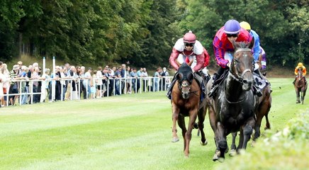 Güdingen : turfistes et badauds par milliers à l’hippodrome
