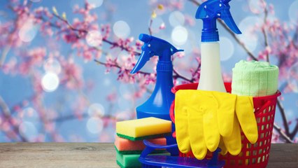 The Ultimate Tips to Spring Cleaning in Gold Coast