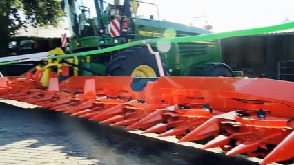 Chopping 20 rows of corn with Kemper