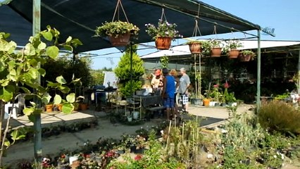 Emekli bankacı çiçekçinin afişli dolar tepkisi