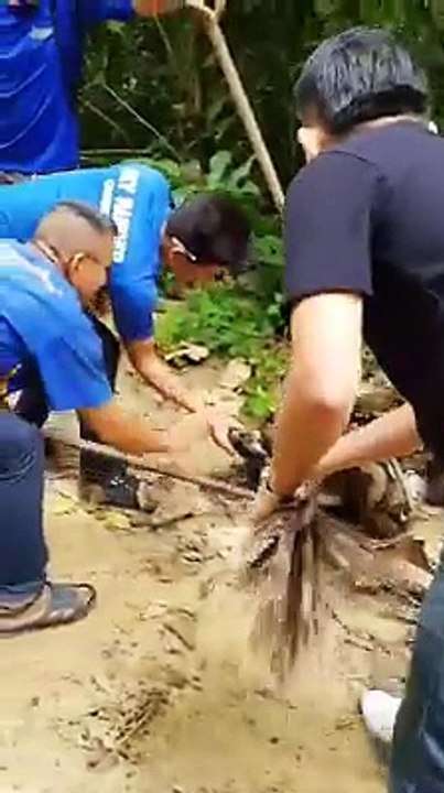 This is simply incredible. A happy ending and w...