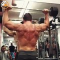 Diesel Josh -The 8 Best Shoulders ExercisesStrong Muscle