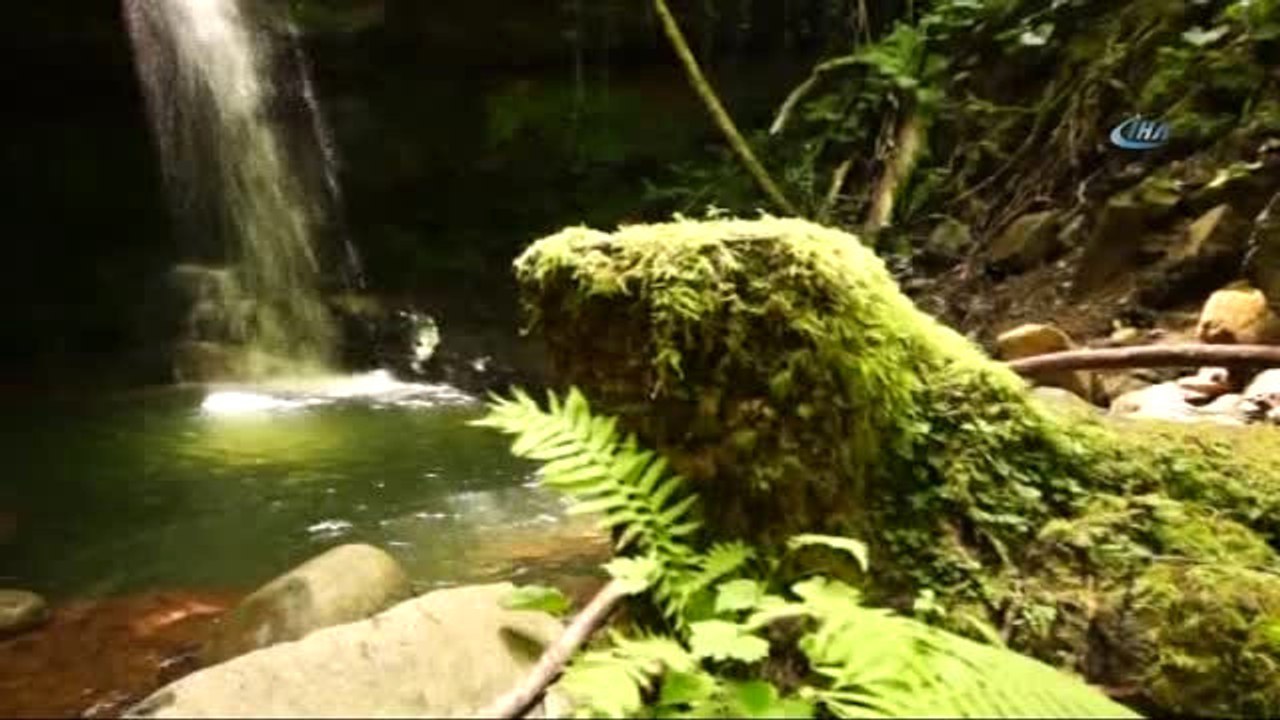Artvin'in Murgul İlçesinde Biri Yapay Biri Doğal İki Şelale Büyük İlgi Görüyor