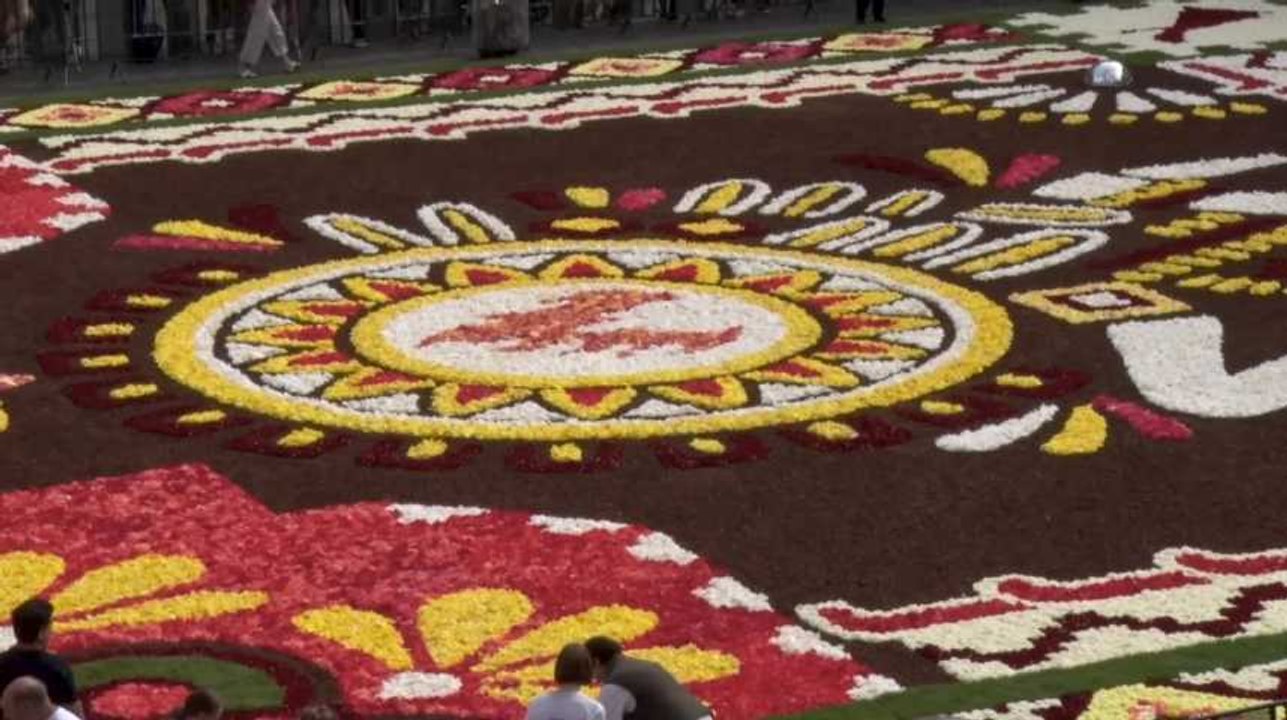 Bruxelles : le tapis de fleurs met le Mexique à l'honneur