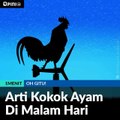 Arti Kok Ayam di Malam Hari