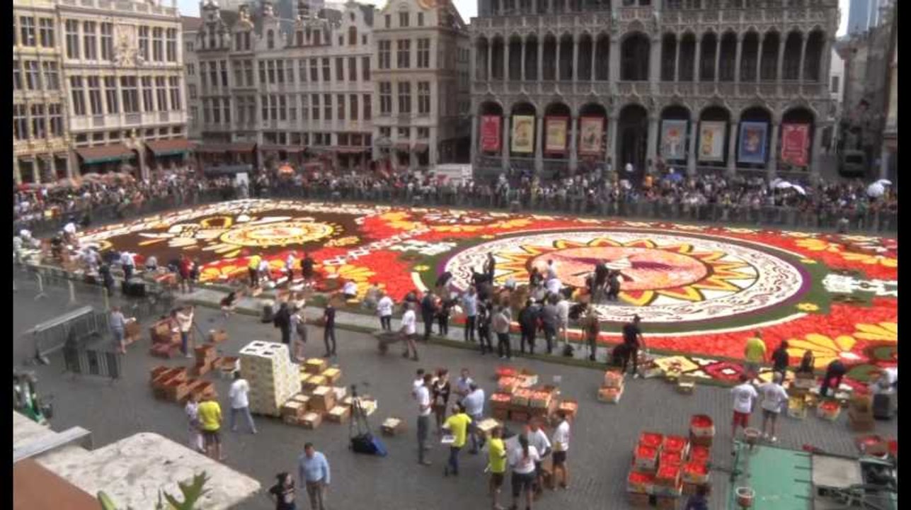 Bruxelles: le tapis de Fleurs 2018 aux couleurs...