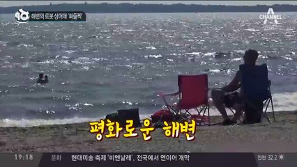 해변의 로봇 상어에 ‘화들짝’