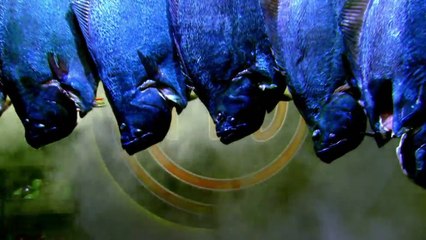 masterchef us s09e13
