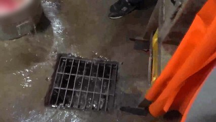 개 도축 폐수 무단 방류한 업체 적발 / YTN