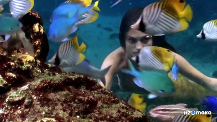 Mermaids: The Evolution- HMako Mermaids