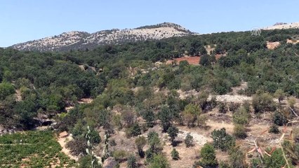 4 asker şehit oldu - ADIYAMAN