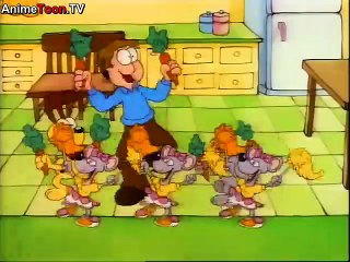 Garfield and Friends s7e6