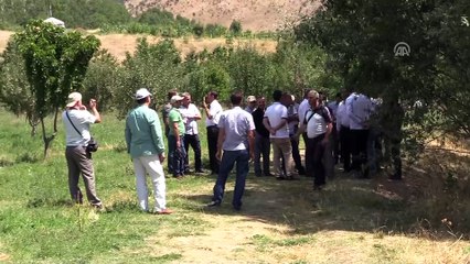 Video herunterladen: Yaylalara huzur geldi, arıcıların yüzü güldü - SİİRT