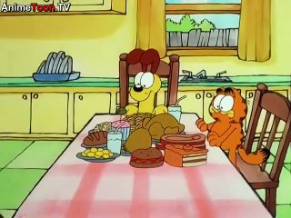 Garfield and Friends s5e17