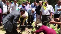 محافظ قنا يشارك فى مبادرة زراعة مليون شجرة مثمرة