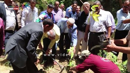 محافظ قنا يشارك فى مبادرة زراعة مليون شجرة مثمرة