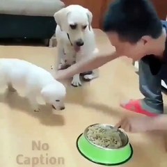 Yavrusunun yemek yemesine izin verilmeyince anne olaya dahil oluyor