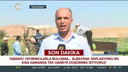 Karpuzda hasat zamanı