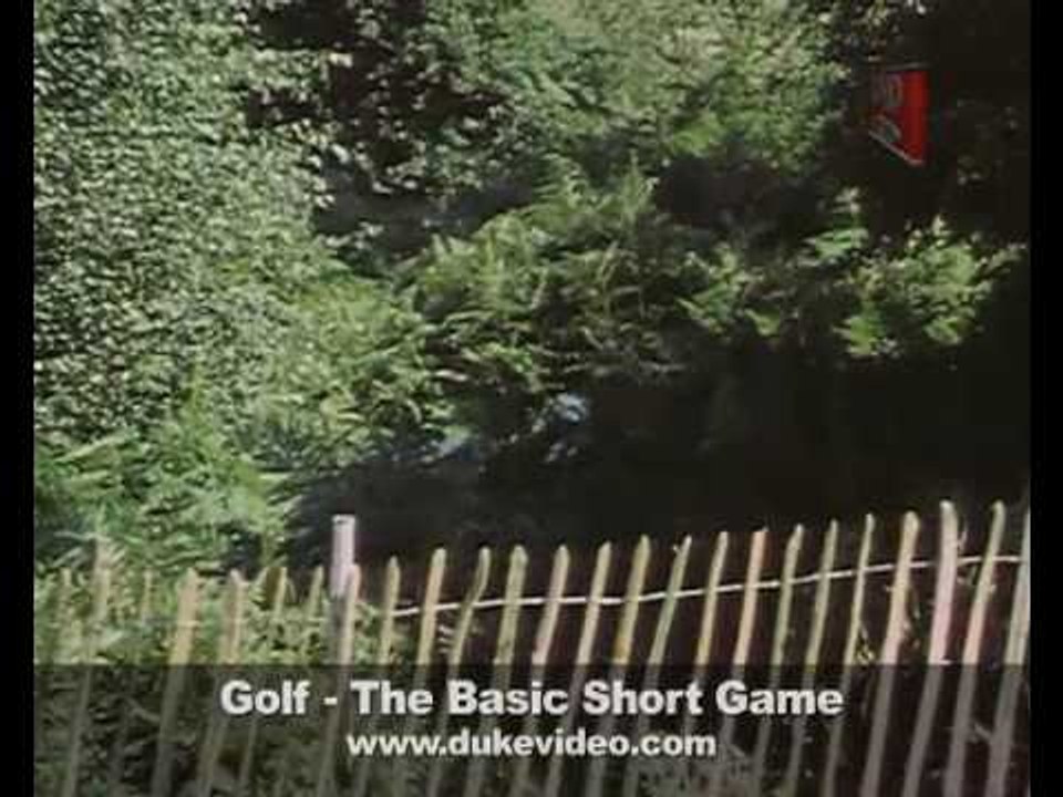 Golf - The Basic Short Game