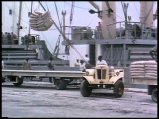 David Brown Tractors - Volume 1 - Around the World