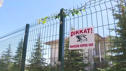 Bayram tatili evcil hayvan otellerine talebi arttırdı - ANKARA