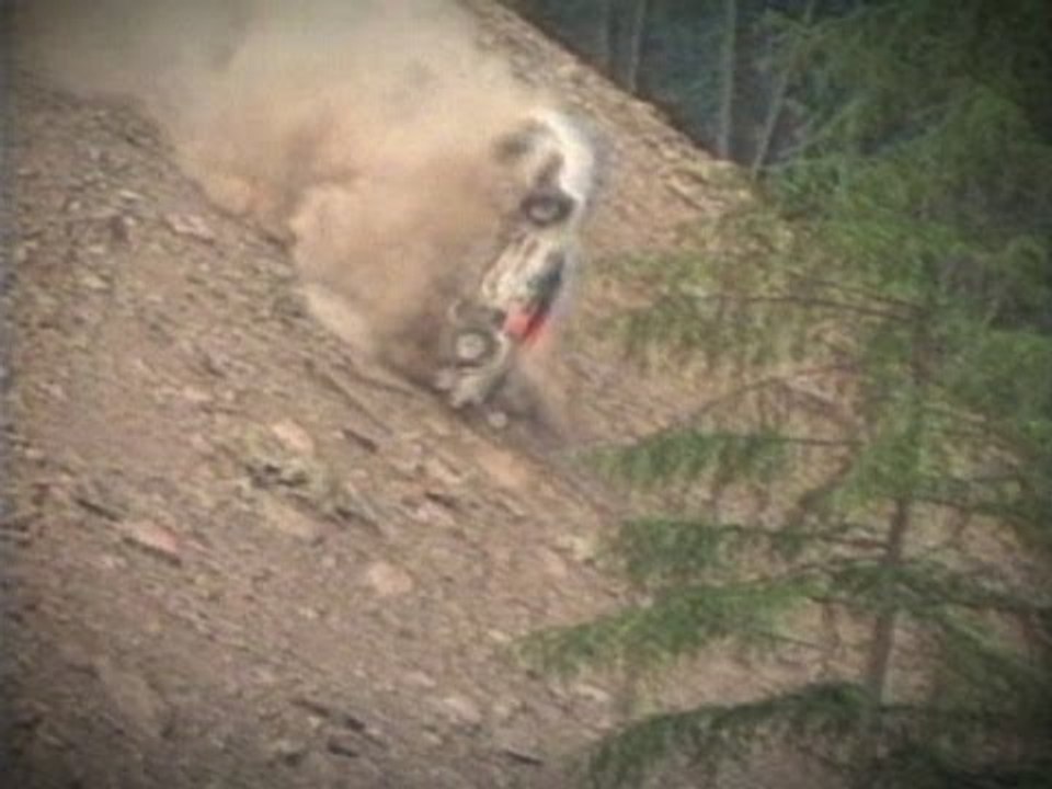 Rally Car crashes into Trees - Welsh Rally