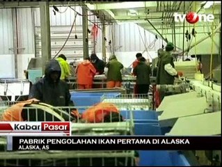 Pabrik Pengolahan Ikan Pertama di Alaska
