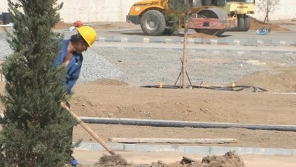 Dünyanın En Uzun Minareli Camisi Cezayir'de İnşa Ediliyor