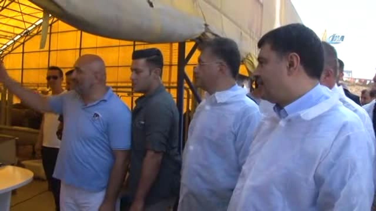 Vali Şahin Kurban Pazarını Gezdi, Pazarlığa Tutuştu