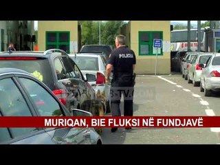 MURIQAN, BIE FLUKSI NË FUNDJAVË