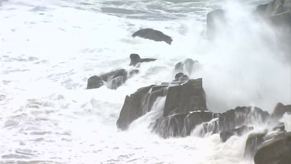 제19호 태풍 '솔릭' 한반도 관통할 듯..."철저한 대비 필요" / YTN
