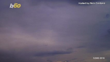 This Eco-Friendly Approach to Protect Crops Involves... Play-Doh Caterpillars?