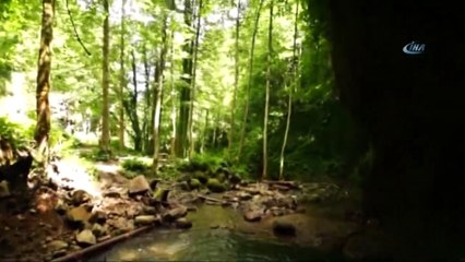 Artvin'de Bu İki Şelale Büyük İlgi Görüyor