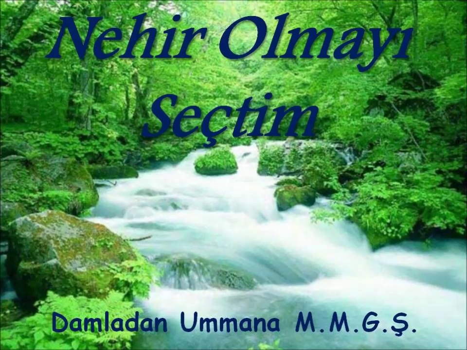 Nehir Olmayı Seçtim Mustafa Murat Güngör Şiir Dinletisi