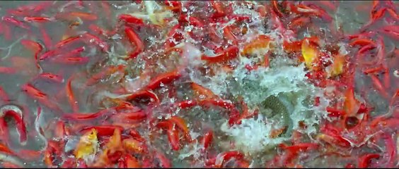 《骨语》13 I Bone language 13