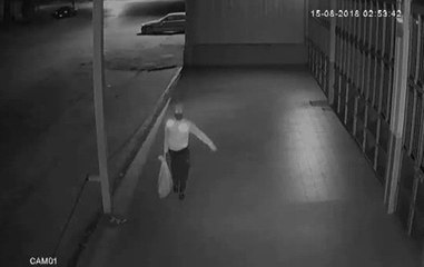 Bu da Tavuk Hırsızı