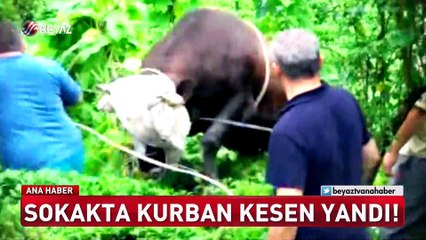 Sokakta kurban kesene ceza (Beyaz Tv Özel Haber)