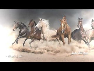 سوالفك خيل - شعر والقاء خضر العبدالله || soalfk khel - kadr al abdla