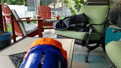 Dog snatches ball launched from Nerf gun out of the air