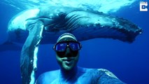 Ce plongeur prend le selfie de sa vie devant une baleine énorme