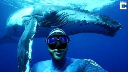Ce plongeur prend le selfie de sa vie devant une baleine énorme